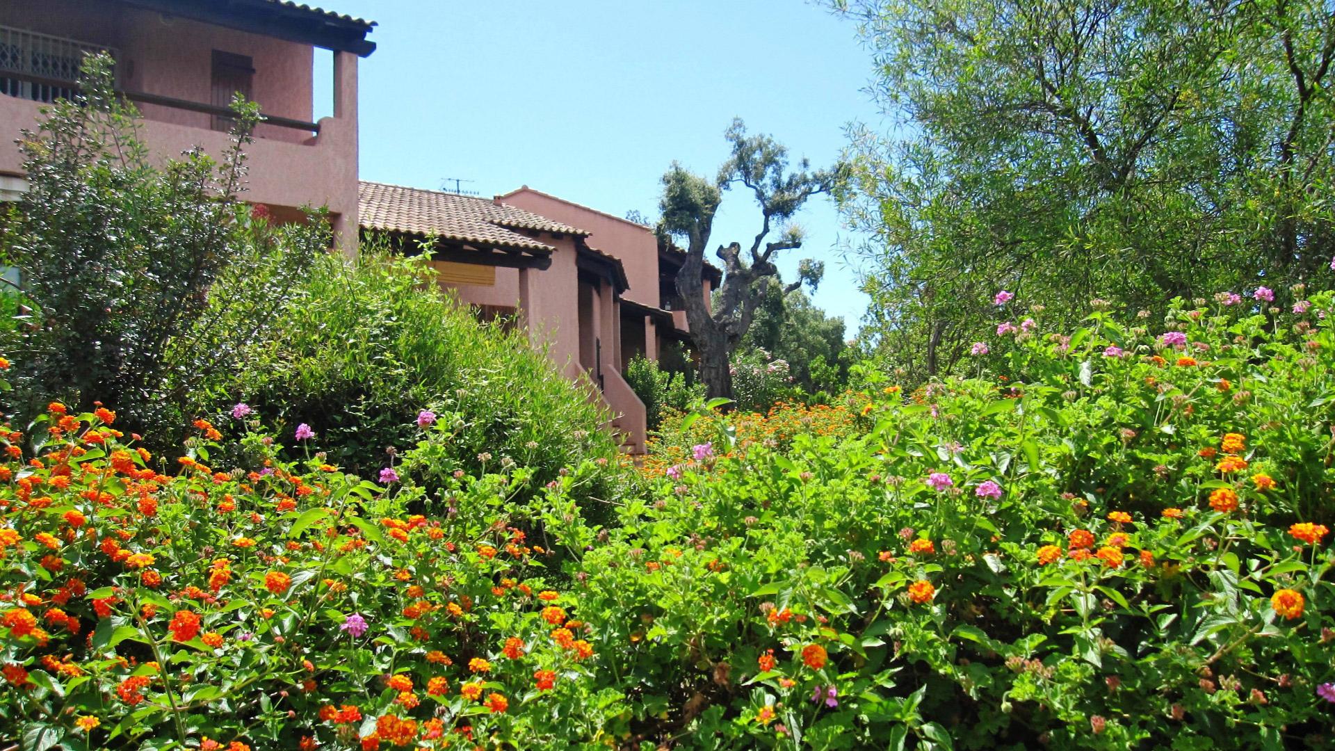 Giardino fiorito con arbusti colorati e una casa sullo sfondo.