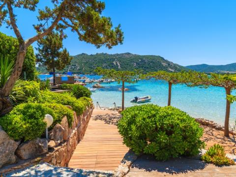 Spiaggia con acqua cristallina e vegetazione rigogliosa, panorama mozzafiato.