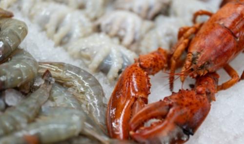 Aragosta e gamberi freschi su ghiaccio, pronti per essere cucinati.