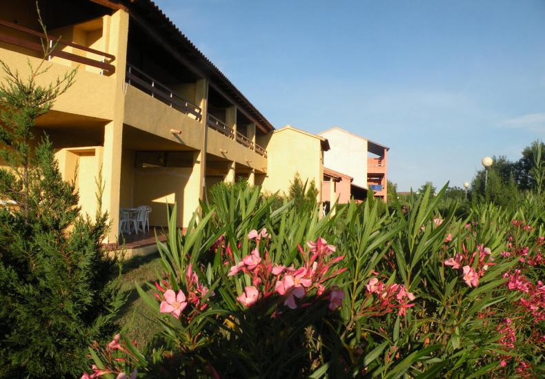 Edifici colorati con balconi, circondati da vegetazione e fiori rosa.