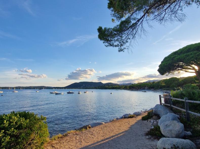 Tranquilla baia al tramonto con barche ormeggiate e alberi in primo piano.
